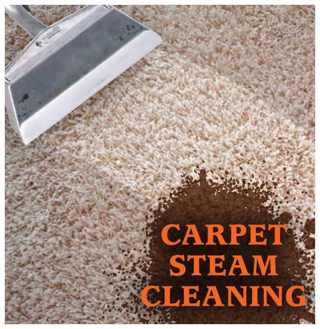 Professional Floor Cleaning Dreese Services Professional Upholstery