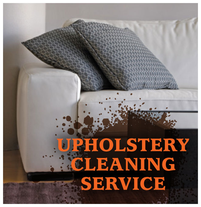 Professional Floor Cleaning Dreese Services Professional Upholstery